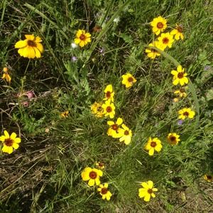 Meet your Posher, Heidi